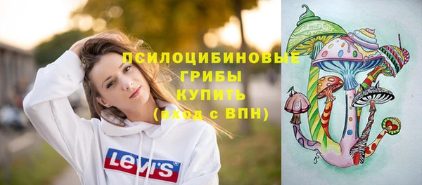 mix Алексин
