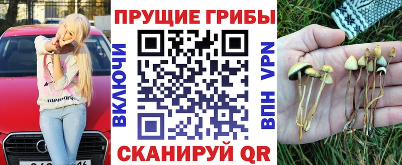 Галлюциногенные грибы ЛСД  купить наркотики цена  mega сайт  Жуковка 